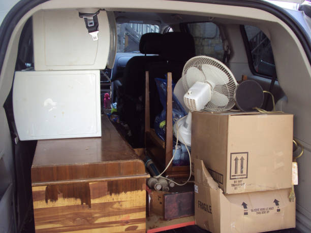 Best Moving and Downsizing Cleanouts  in Hibbing, MN